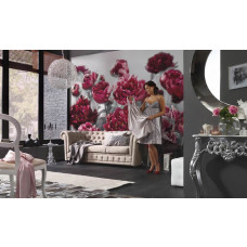Eine Fototapete mit verführerischen Rosen in tiefen Farben, die eine romantische und intensive Atmosphäre hervorrufen. Dieser Druck schafft ein stimmungsvolles Ambiente im Wohnzimmer.