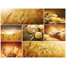Fototapete mit frisch gebackenem Brot und Getreide, rustikales und stimmungsvolles Bäckereimotiv.