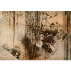 Vintage-Fototapete mit Blumen an einer verwitterten Wand, altmodisches Design mit einem charmanten und rustikalen Charakter.