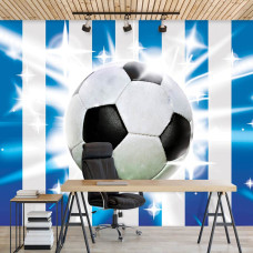 Fototapete mit einem Fußball auf einer Wiese, geeignet für ein Kinder- und Jugendzimmer.
