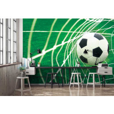 Eine Fototapete mit einem Fußballtor auf einem Fußballfeld, die eine dynamische und sportliche Atmosphäre hervorruft.
