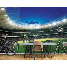 Fototapete mit einem Sportstadionthema eines Fußballfeldes für das Büro.