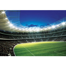 Ein Fußballstadion mit Kindern, die Fußball spielen, ist auf dieser Fototapete zu sehen.