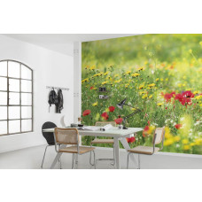 Eine Fototapete von Frühsommerblumen auf einer Wiese mit Mohnblumen, ideal für ein Wohnzimmer.