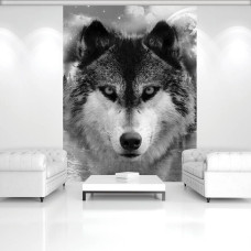 Eine Fototapete mit einem Schwarz-Weiß-Bild eines Wolfes in einem Wald.