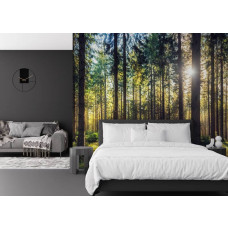 Fototapete mit einem sonnigen Waldmotiv in einem modernen Schlafzimmer.