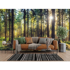 Fototapete mit einem sonnigen Kiefernwald in einem modernen Wohnzimmer.