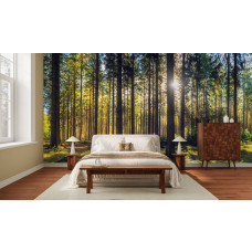 Tapete mit einem Waldpanorama und hohen Nadelbäumen in einem gemütlichen Schlafzimmer.