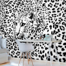 Eine Fototapete mit Pantherdruck mit Gepard, Leopard und Gepard für das Büro.