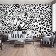 Eine Fototapete mit Pantherdruck mit Gepard, Leopard und Gepard für das Wohnzimmer.