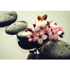 eine Spa-Fototapete mit Wellness-Atmosphäre, Sauna-Elementen, Steinen und Blumen für einen entspannenden Look.