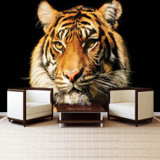Fototapete mit einem Tiger für das Wohnzimmer.