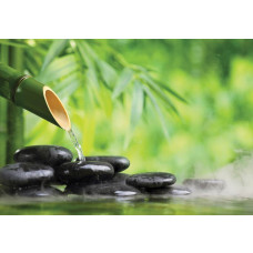 Wellness-Fototapete mit Sauna, heißen Steinen und Blumen.