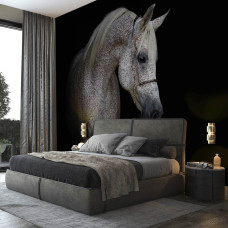 Ein weißes Pferd Fototapete für das Schlafzimmer.