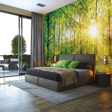 Eine Fototapete eines sonnigen Waldes mit Sonnenstrahlen und Sonnenlicht durch die Bäume im Schlafzimmer gesehen.