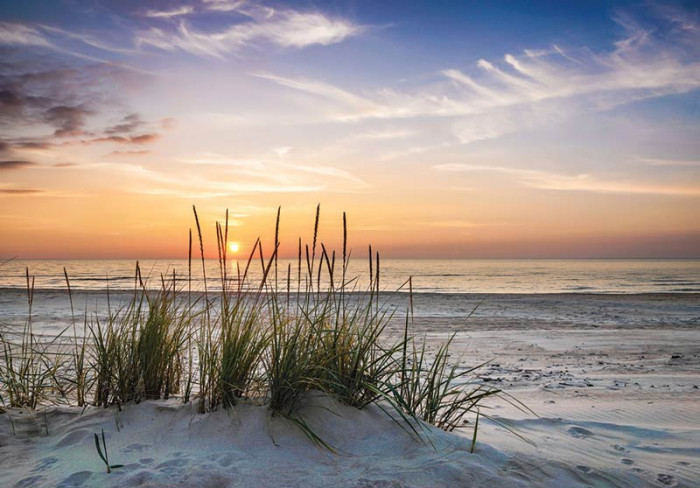 Fototapete Strand mit Helmgras bei Sonnenuntergang
