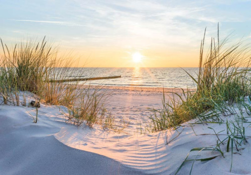 Ein schöner Sonnenuntergang über einem Strand und Dünen wird auf dieser Fototapete lebendig, mit warmen und beruhigenden Farben.