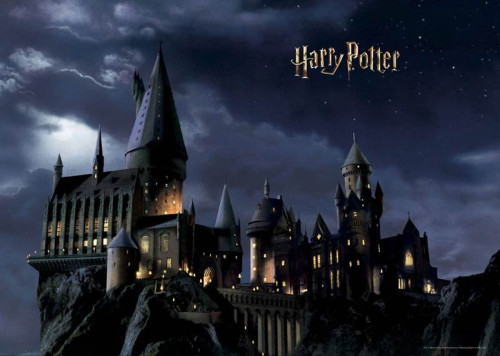 Ein Fototapete mit Harry Potters Hogwarts in der Nacht, bei dem das ikonische Schloss mysteriös unter einem Sternenhimmel leuchtet, umgeben von einer magischen Atmosphäre.
