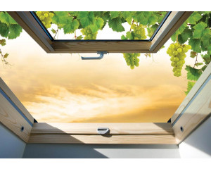 3D-Fototapete mit einer Fensteransicht von Weinreben, mit Tiefenwirkung.