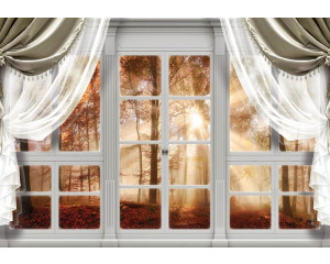 Fototapete mit Blick auf einen Herbstwald mit Bäumen und 3D-Effekten durch ein Fenster.