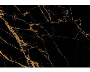 Schwarzer und goldener Marmor mit luxuriöser Ausstrahlung, subtil gemischt mit industriellen Details.