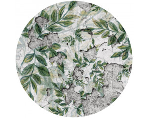 Planten en bloemen op een betonnen muur afgebeeld op een behangcirkel, met een industrieel en artistiek gevoel.