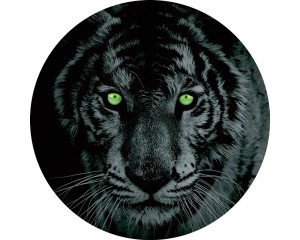 Een tijger met groene ogen op een stoere behangcirkel, ideaal voor een avontuurlijke kinderkamer.