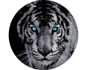 Een tijger met helderblauwe ogen op een opvallende behangcirkel voor een stoere kinderkamer.