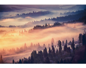 Fototapete von Bäumen im Nebel mit weitem Blick auf die Natur.