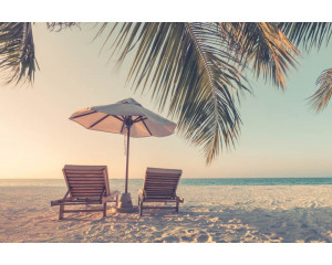 Fototapete eines tropischen Strandes mit Liegestühlen unter Palmen, umgeben von klarem blauen Meer und weißen Sandstränden.