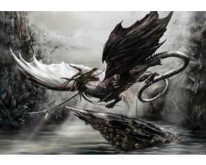 Drache und Alchemie, Fototapete mit magischen und dunklen Themen für eine geheimnisvolle Atmosphäre.