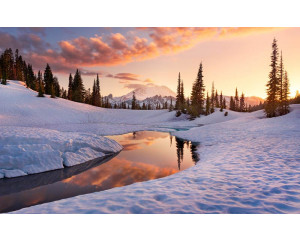 America the Beautiful Winterlandschaft Fototapete, mit einer schönen verschneiten Landschaft.