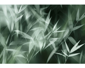 Fotobehang met artistiek getekende bamboebladeren in natuurlijke tinten op een donkere achtergrond.