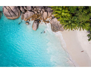 Fototapete eines tropischen Paradieses mit Palmen, klarem blauen Wasser und einem goldenen Strand unter strahlender Sonne.