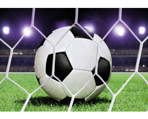 Fußball im Tor auf einem Stadion Rasenplatz, schöne Fototapete für Kinder.