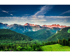 Fototapete der natürlichen Schönheit einer Berglandschaft mit bewaldeten Hügeln und grünen Tälern.