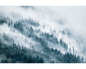 Fototapete einer nebelverhangenen Berggegend mit grüner Natur und schöner Berglandschaft.