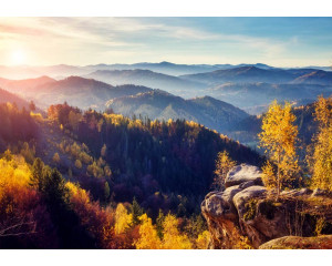 Fototapete einer bewaldeten Gegend mit Bergen im Hintergrund, mit grünen Bäumen, die die natürliche Schönheit der Landschaft hervorheben.