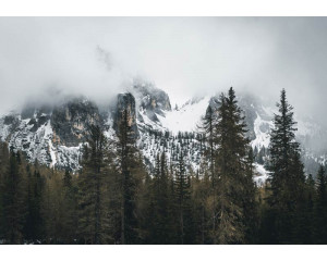Fototapete mit schneebedeckten Bergen, die sich hoch über dem Wald erheben, mit einem klaren blauen Himmel und einer wunderschönen Naturlandschaft.
