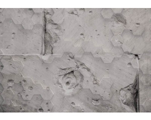 Marienkäfer in einer natürlichen Umgebung auf einer Fototapete.