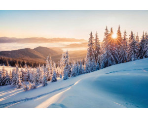 Eine bezaubernde Schneelandschaft mit Bergen, Sonnenstrahlen und einem üppigen Wald auf dieser Fototapete.