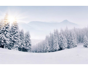 Fototapete einer bezaubernden Winterlandschaft mit schneebedeckten Bergen und Bäumen und einem klaren blauen Himmel.