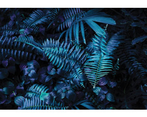 Fototapete mit grünen Blättern in einem Dschungel, frisch und lebendig.