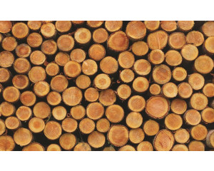 Fototapete mit Baumstämmen und Holzmaserungen, natürliche Textur für einen rustikalen Effekt.