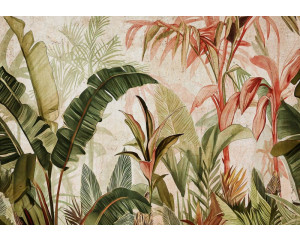 Fototapete mit botanischen Dschungelblättern auf Beton, in einer natürlichen und tropischen Umgebung.