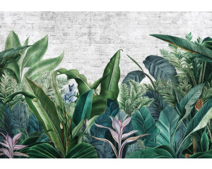 Fototapete mit botanischen Dschungelpflanzen in einer üppigen und tropischen Umgebung.