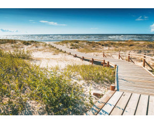 Fototapete von einer Brücke durch die Dünen zum Strand, mit dem Meer im Hintergrund.