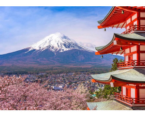 Die Fototapete zeigt die Chureito-Pagode, den Berg Fuji und eine Kirschblüte im Frühling in Japan.