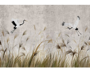 Fototapete Tanzende Kraniche über dem hohen Gras