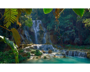Fototapete des bezaubernden Kuang Si-Wasserfalls in Laos, wo das Wasser durch eine dichte Waldlandschaft fließt.